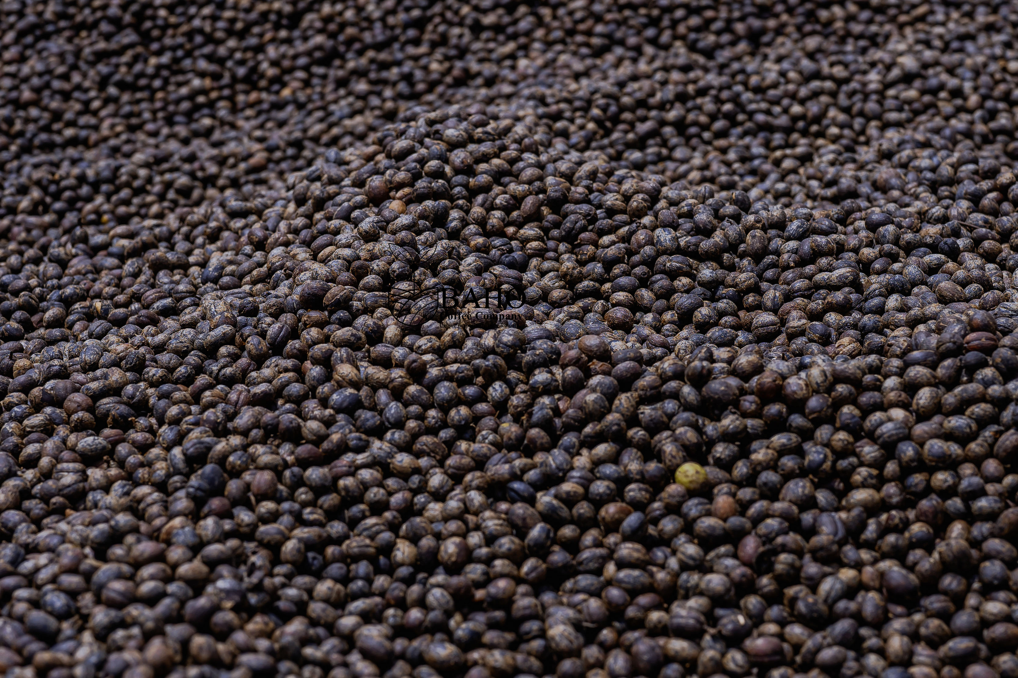 Natural coffee